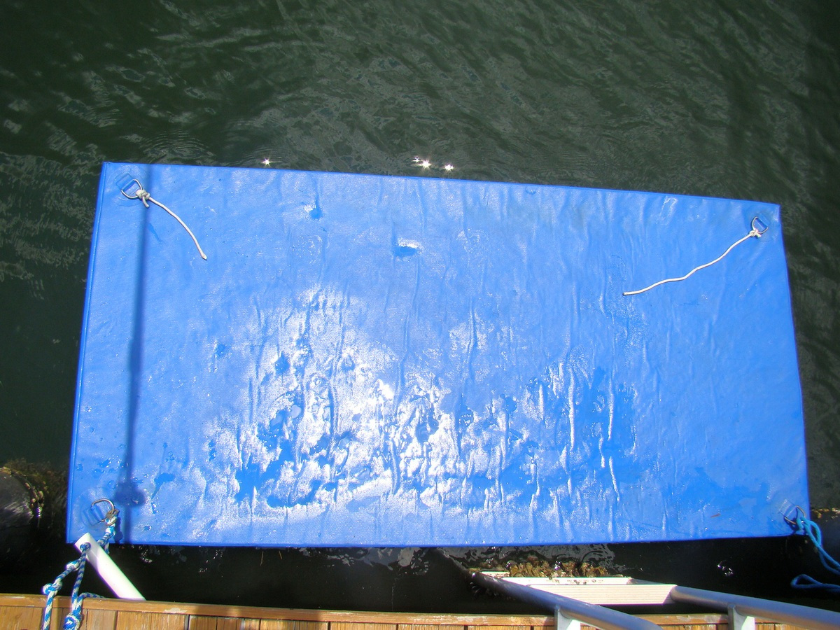  BOAT DOCK SLIP SWIM PLATFORM FOR CANOE, KAYAK, SMALL INFLATABLE BOAT