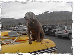 RM Inflatable Rafts. Please visit www.RMRafts.com to order on-line.