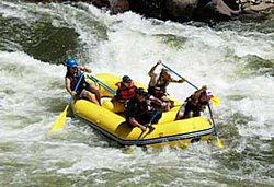 13' RD390, 14' RD430 and 15' RD470 heavy-duty river rafts are available from our dealers