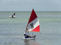 Older version of Sail Board with NEW sail kit. Click for larger pictures.