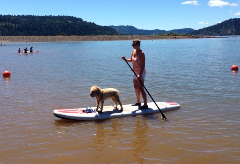 Dog riding inflatable paddle board SUP