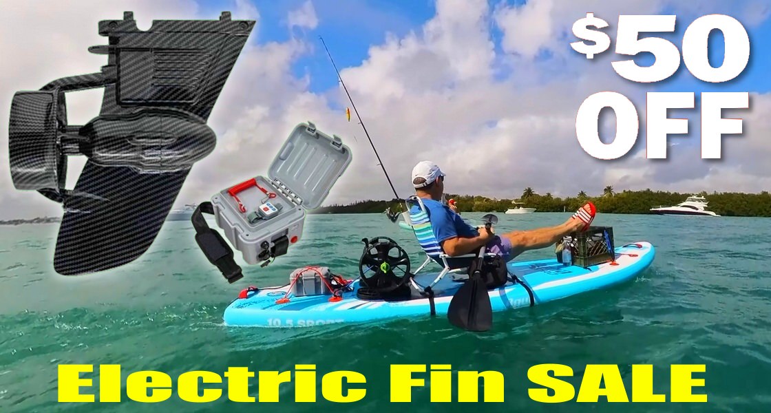 Sale $50 OFF on Electric Fin