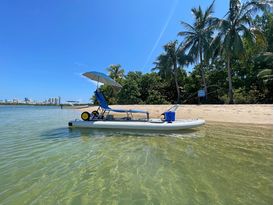 12' Motor Board Micro Skiff