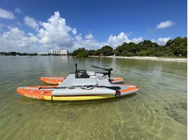 Older, V1 of SUP Cat
