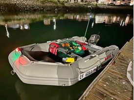 Customer's picture of SD330W boat