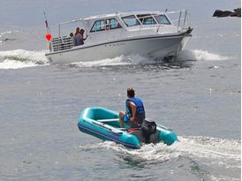 Saturn CB330 with 12HP motor
