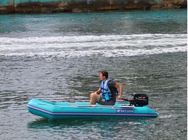 Saturn CB330 with 12HP motor
