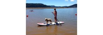 Dog riding inflatable paddle board SUP