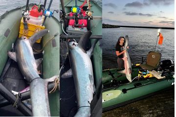 Fishing with Saturn SK487XL