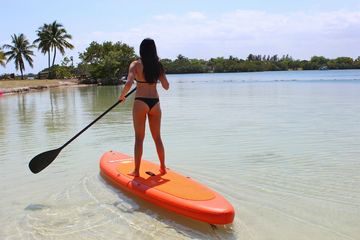 Saturn FL Orange SUP Board