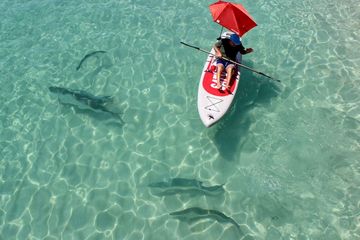 MotoSUP Inflatable Paddle Board SUP