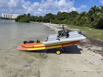 Older, V1 of SUP Cat