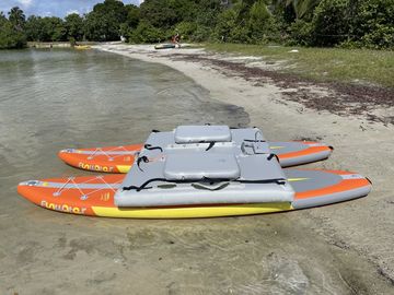 Older, V1 of SUP Cat