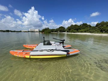 Older, V1 of SUP Cat