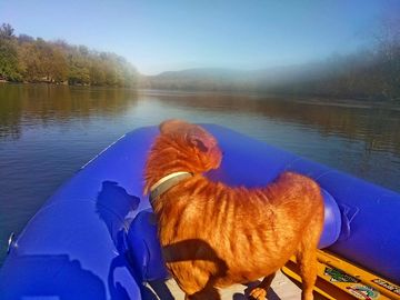 Saturn RD365XL River Raft Customer's pic