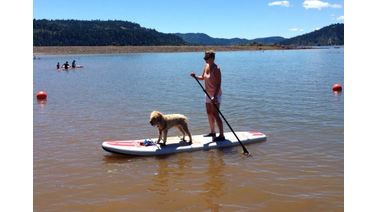 Dog riding inflatable paddle board SUP