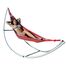 Folding Beach Hammock