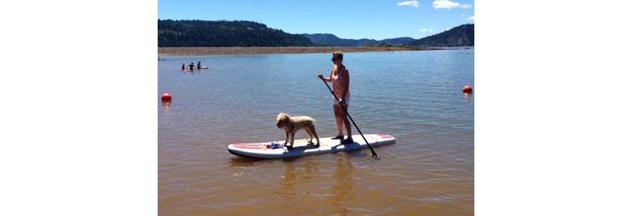 Dog riding inflatable paddle board SUP Dog riding inflatable paddle board SUP